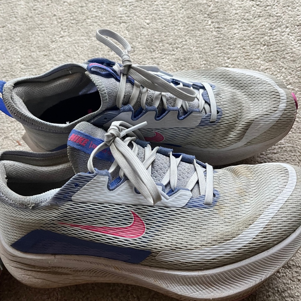 Nike Air Zoom Pegasus